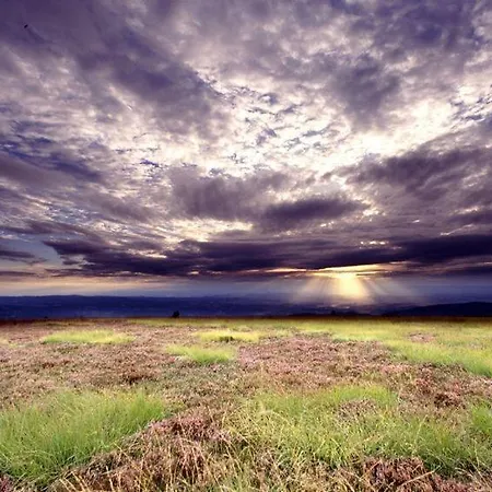 Le Saintantheme / Praboure *